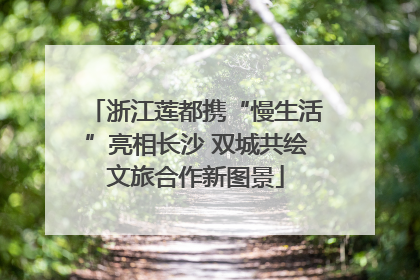 浙江莲都携“慢生活”亮相长沙 双城共绘文旅合作新图景