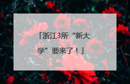 浙江3所“新大学”要来了！
