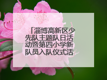 淄博高新区少先队主题队日活动暨第四小学新队员入队仪式活动圆满举行