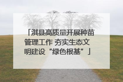 淇县高质量开展种苗管理工作 夯实生态文明建设“绿色根基”