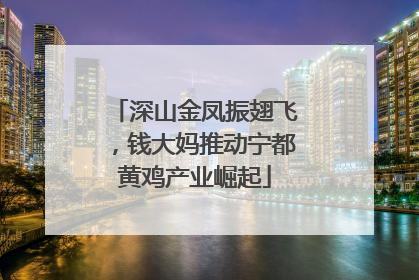 深山金凤振翅飞，钱大妈推动宁都黄鸡产业崛起
