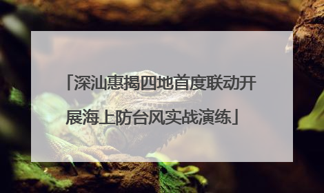 深汕惠揭四地首度联动开展海上防台风实战演练