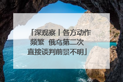 深观察丨各方动作频繁  俄乌第二次直接谈判前景不明