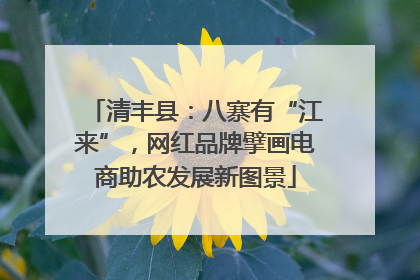 清丰县：八寨有“江来”，网红品牌擘画电商助农发展新图景