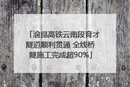渝昆高铁云南段育才隧道顺利贯通 全线桥隧施工完成超90%