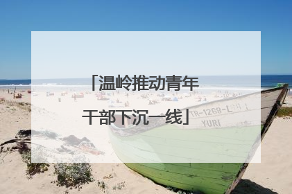 温岭推动青年干部下沉一线