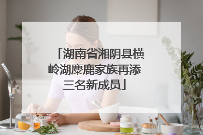 湖南省湘阴县横岭湖麋鹿家族再添三名新成员
