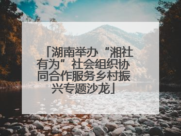 湖南举办“湘社有为”社会组织协同合作服务乡村振兴专题沙龙