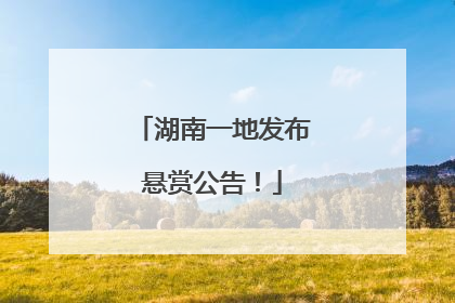 湖南一地发布悬赏公告！