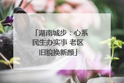 湖南城步：心系民生办实事 老区旧貌换新颜