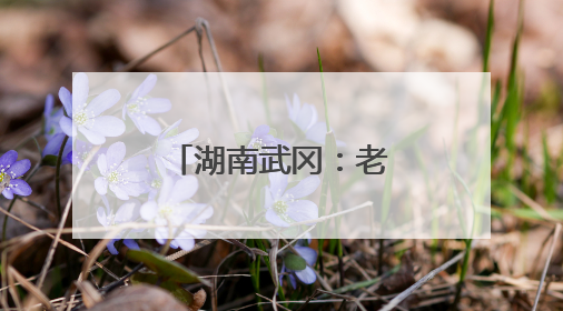 湖南武冈：老城不老，新貌背后的保护之道