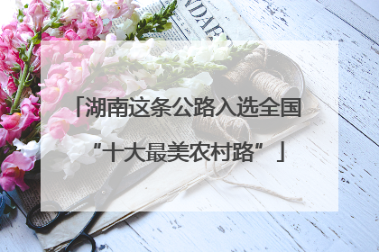 湖南这条公路入选全国“十大最美农村路”