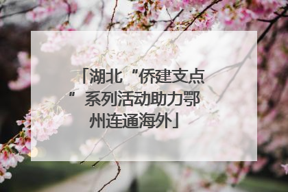湖北“侨建支点”系列活动助力鄂州连通海外