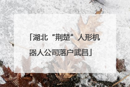 湖北“荆楚”人形机器人公司落户武昌