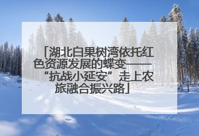 湖北白果树湾依托红色资源发展的蝶变——“抗战小延安”走上农旅融合振兴路
