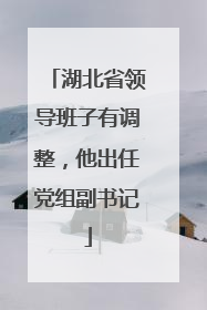 湖北省领导班子有调整，他出任党组副书记