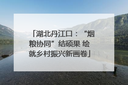 湖北丹江口：“烟粮协同”结硕果 绘就乡村振兴新画卷