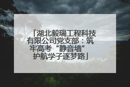 湖北毅瑞工程科技有限公司党支部：筑牢高考“静音墙” 护航学子逐梦路