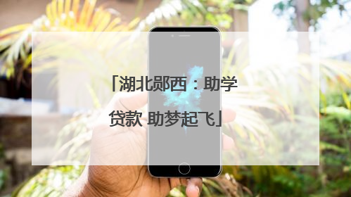 湖北郧西：助学贷款 助梦起飞