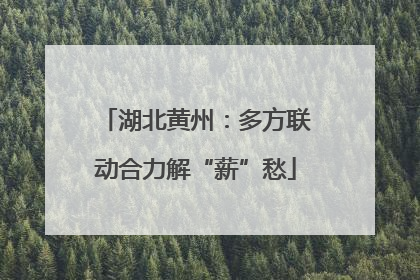 湖北黄州：多方联动合力解“薪”愁