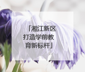 湘江新区打造学前教育新标杆