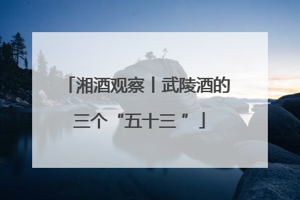 湘酒观察丨武陵酒的三个“五十三 ”
