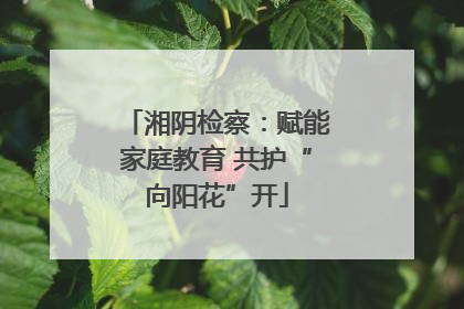 湘阴检察：赋能家庭教育 共护“向阳花”开