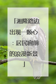 湘隆路边出现一颗心：居民窗前的浪漫新景