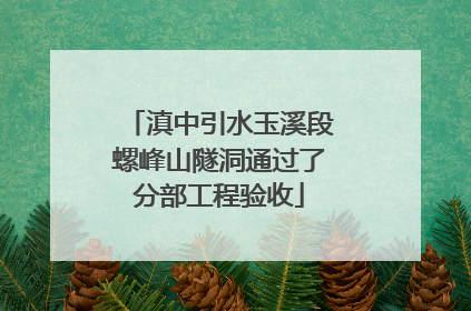 滇中引水玉溪段螺峰山隧洞通过了分部工程验收
