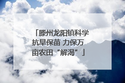 滕州龙阳镇科学抗旱保苗 力保万亩农田“解渴”