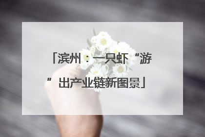 滨州：一只虾“游”出产业链新图景