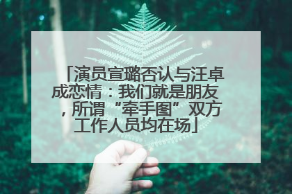 演员宣璐否认与汪卓成恋情：我们就是朋友，所谓“牵手图”双方工作人员均在场