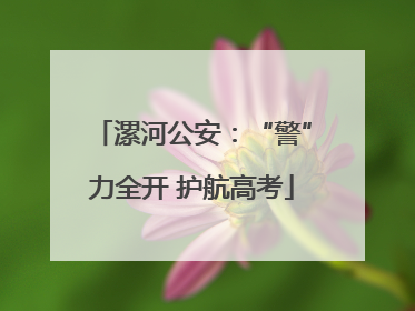 漯河公安：“警”力全开 护航高考