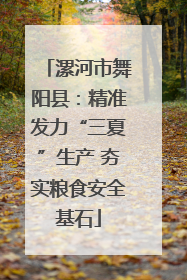 漯河市舞阳县：精准发力“三夏”生产 夯实粮食安全基石