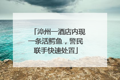 漳州一酒店内现一条活鳄鱼，警民联手快速处置