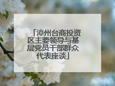 漳州台商投资区主要领导与基层党员干部群众代表座谈