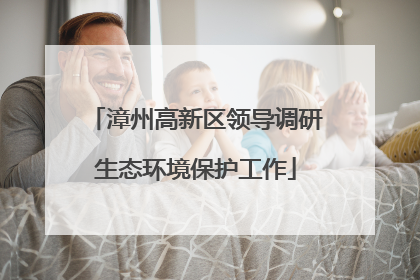 漳州高新区领导调研生态环境保护工作