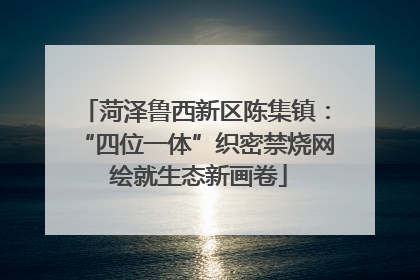 菏泽鲁西新区陈集镇：“四位一体”织密禁烧网 绘就生态新画卷
