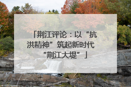 荆江评论：以“抗洪精神”筑起新时代“荆江大堤”