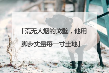 荒无人烟的戈壁，他用脚步丈量每一寸土地