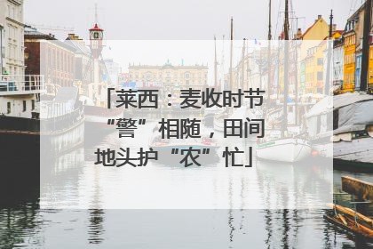 莱西：麦收时节“警”相随，田间地头护“农”忙