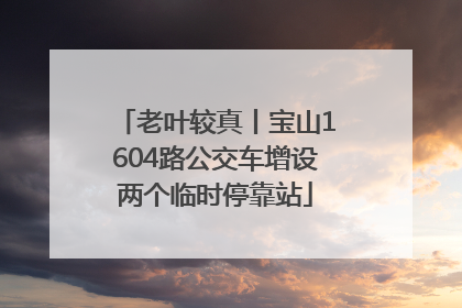 老叶较真丨宝山1604路公交车增设两个临时停靠站