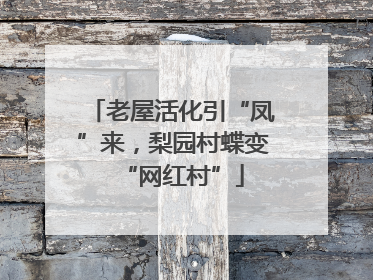 老屋活化引“凤”来，梨园村蝶变“网红村”