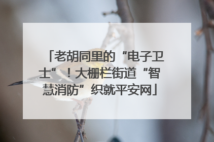 老胡同里的“电子卫士”！大栅栏街道“智慧消防”织就平安网