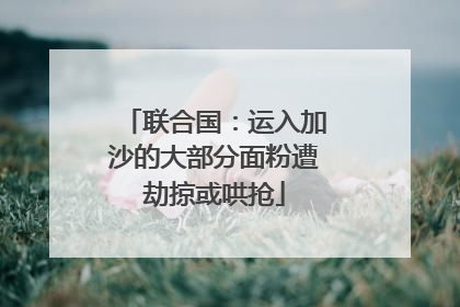 联合国：运入加沙的大部分面粉遭劫掠或哄抢