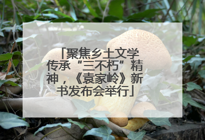 聚焦乡土文学 传承“三不朽”精神，《袁家岭》新书发布会举行
