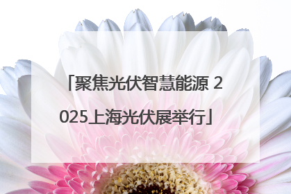聚焦光伏智慧能源 2025上海光伏展举行