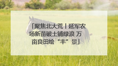 聚焦北大荒丨延军农场新苗破土铺绿浪 万亩良田绘“丰”景