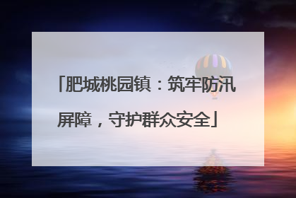 肥城桃园镇：筑牢防汛屏障，守护群众安全