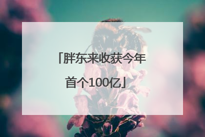 胖东来收获今年首个100亿